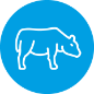 Beef Icon