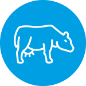 Dairy Icon