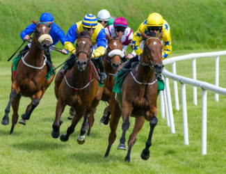 Group_of_Racing_horses