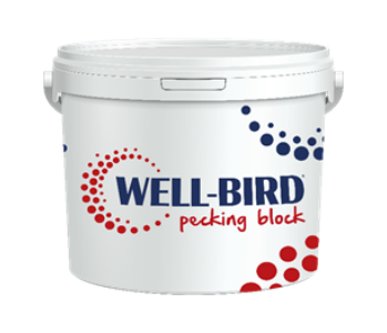 Well-Bird_pecking_block