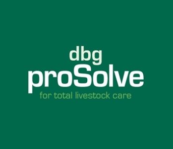 dbg_prosolve_logo