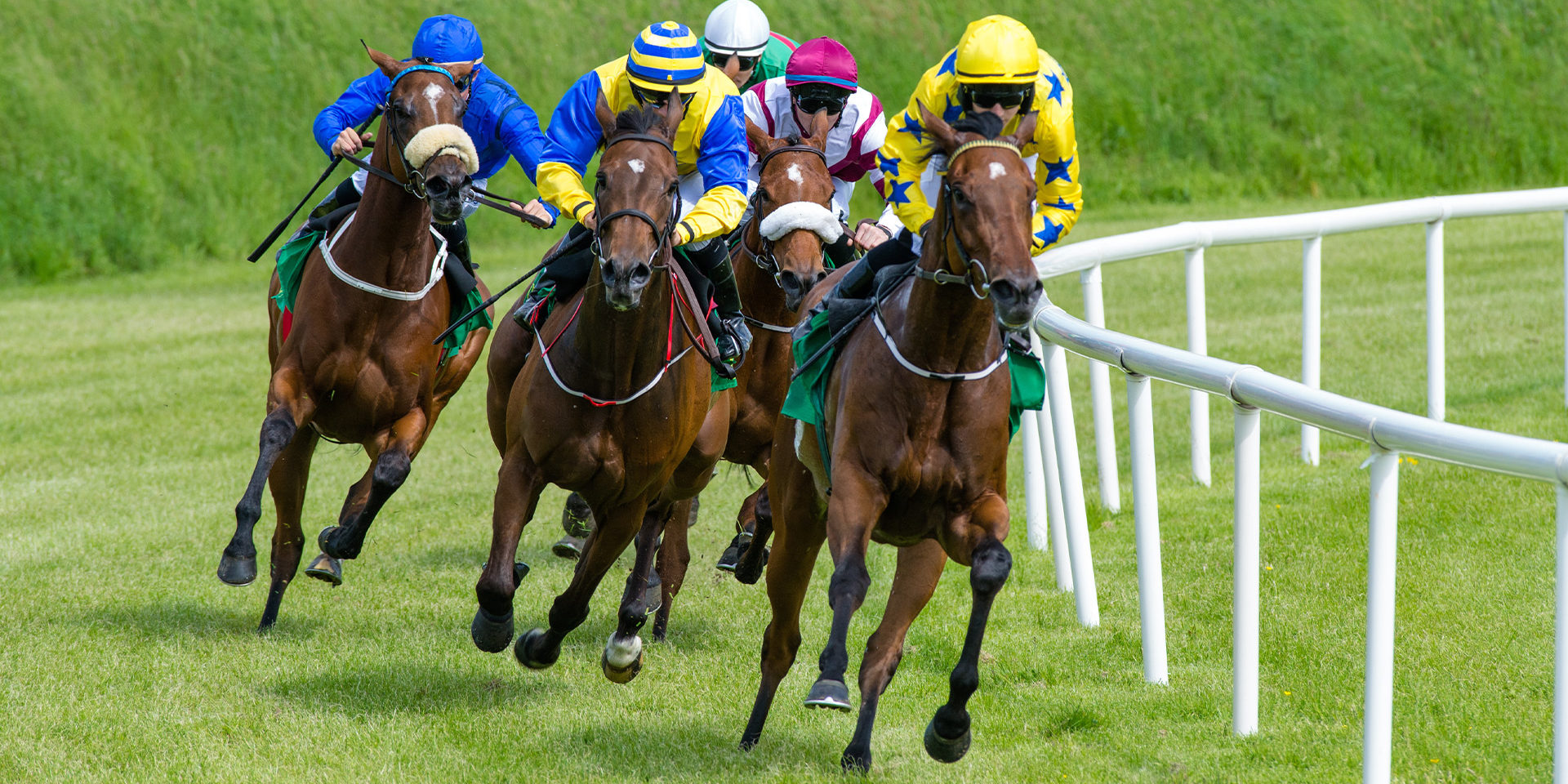 Group_of_Racing_horses